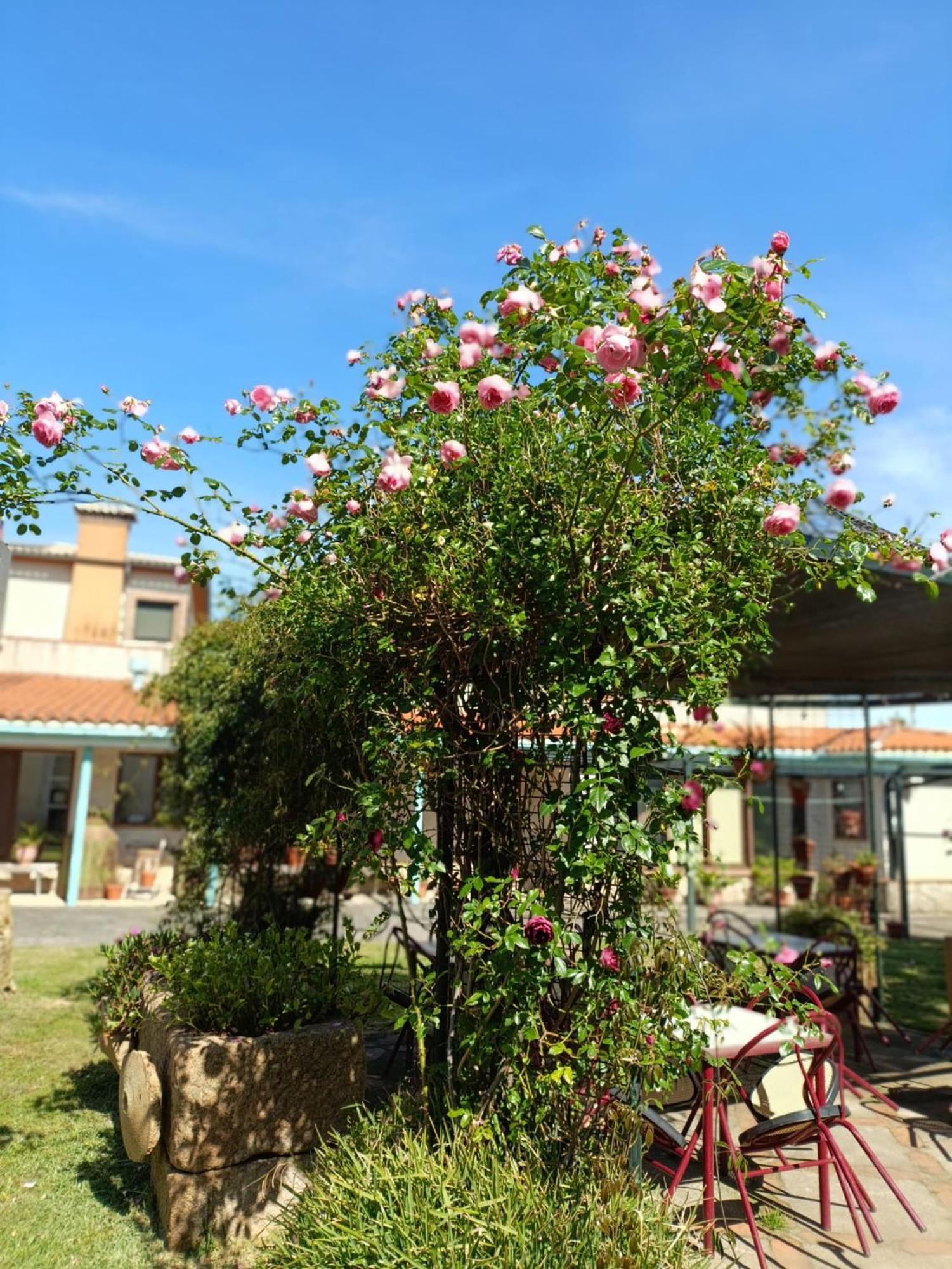 Casa Rural Del Corral Malpartida De Plasencia Eksteriør bilde